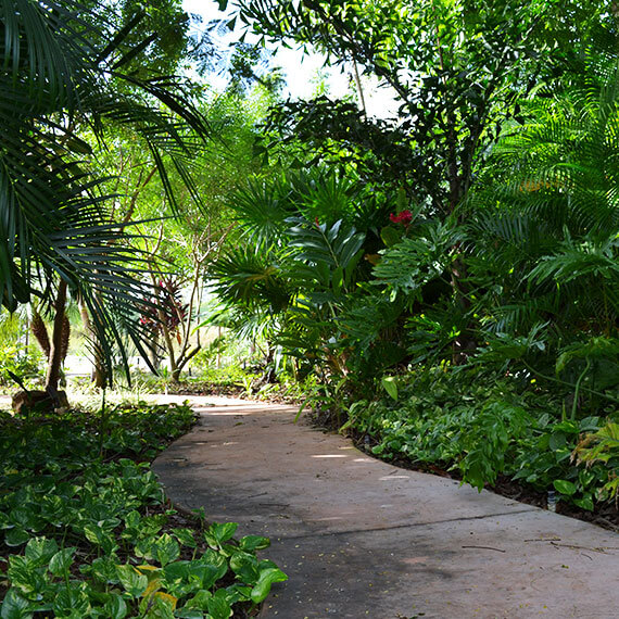 Jardinería comercial