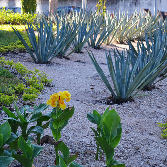 Jardinería comercial