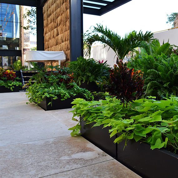 Jardinería comercial