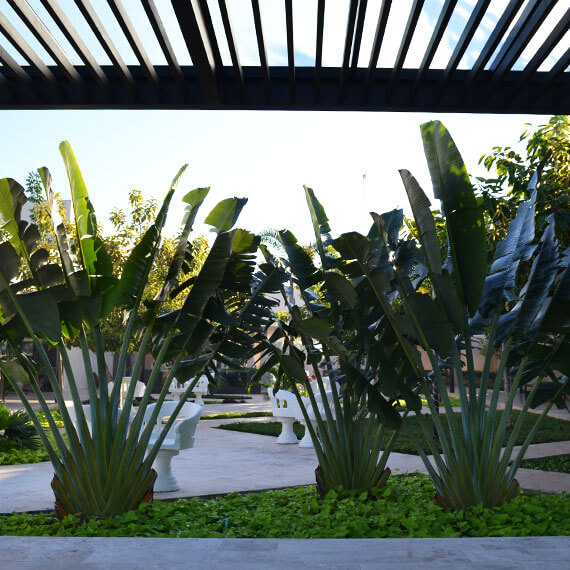 Jardinería comercial