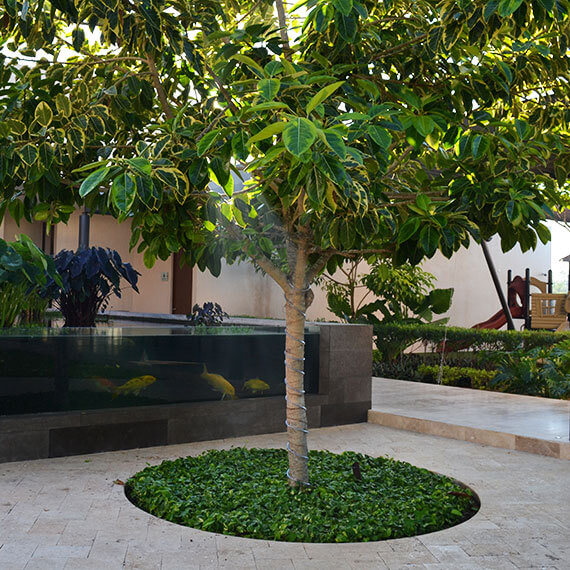 Jardinería comercial