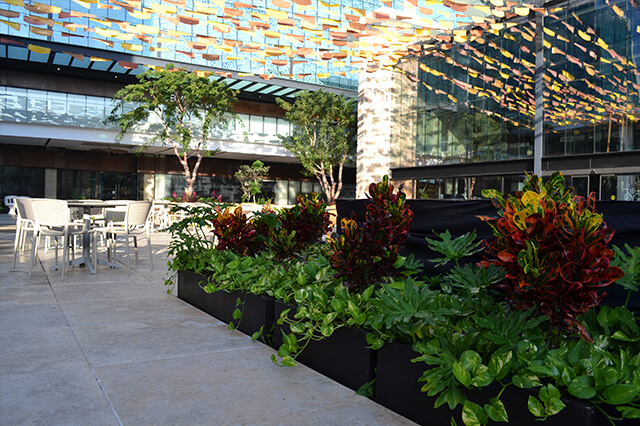 Jardinería comercial