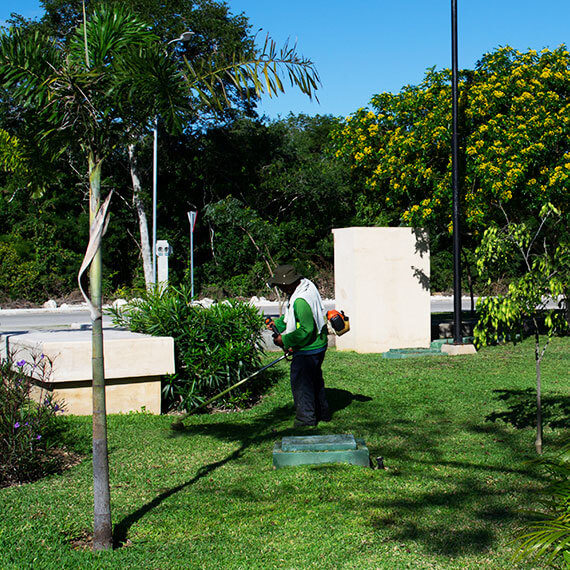Mantenimiento de áreas verdes