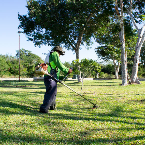Mantenimiento de áreas verdes