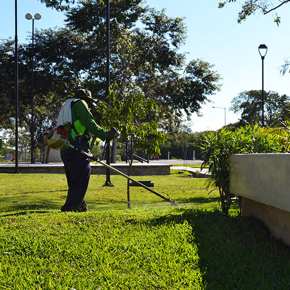 Mantenimiento de áreas verdes