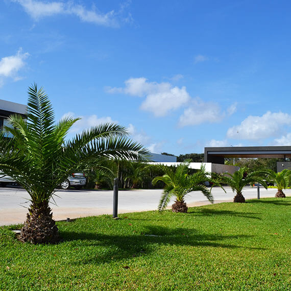 Jardinería residencial