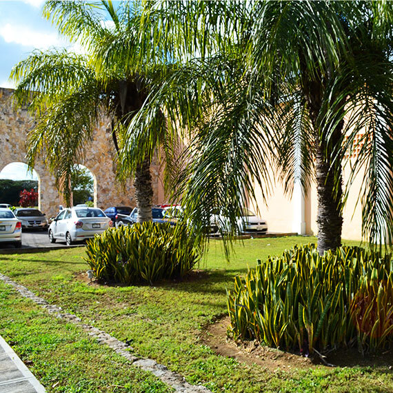 Jardinería residencial