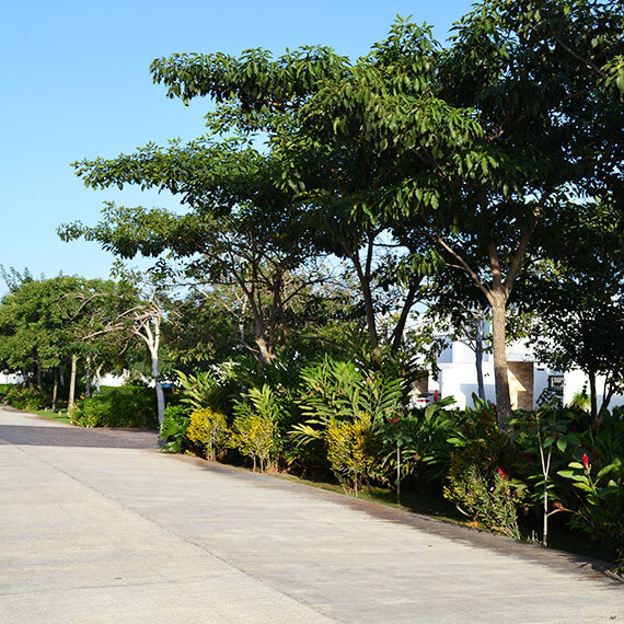Jardinería residencial