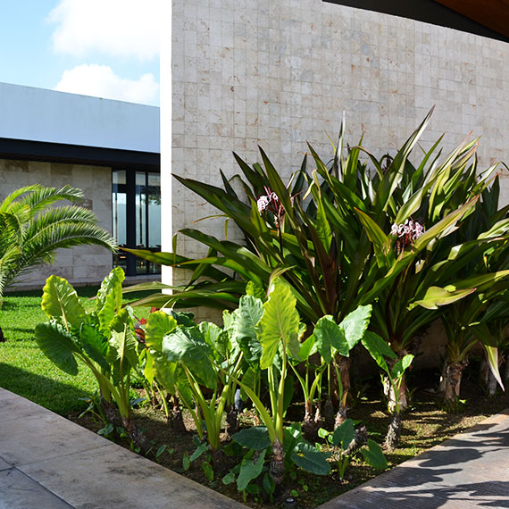 Jardinería residencial